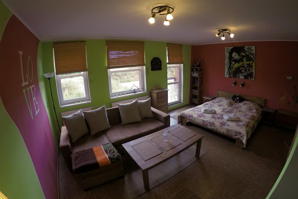 Studio Krusne Hory Klinovec Loucna pod Klinovcem Phòng bức ảnh